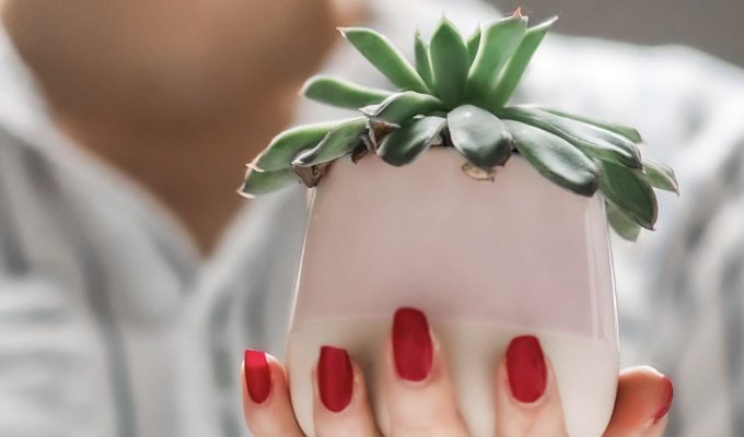 manicured-hand-holding-succulent