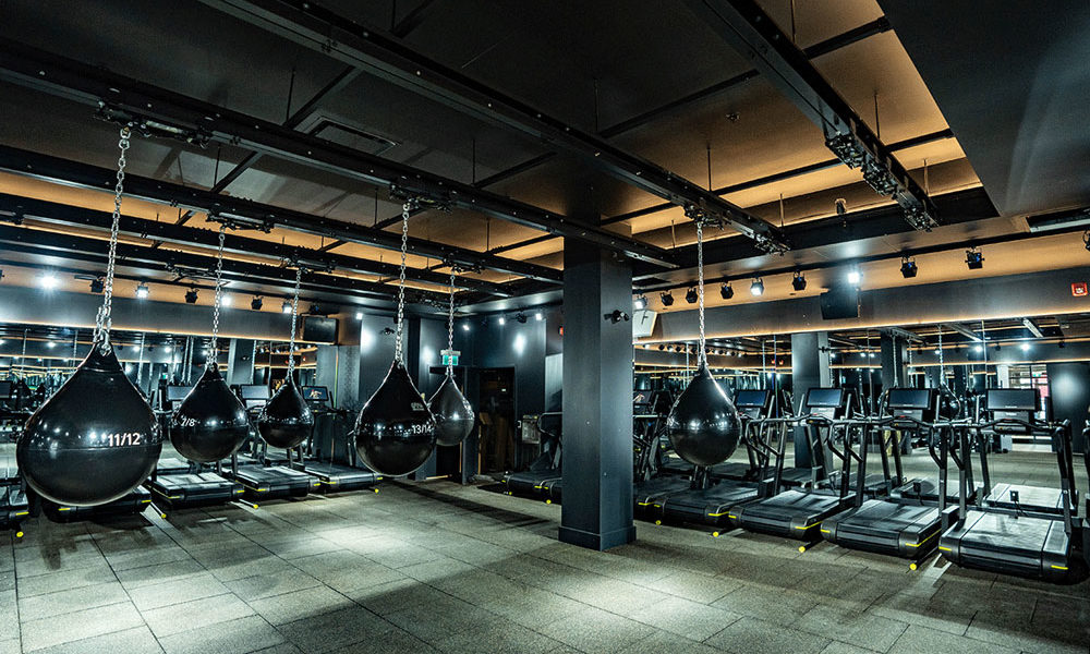 the boxing gym at S&T, punching bags hanging from the ceiling