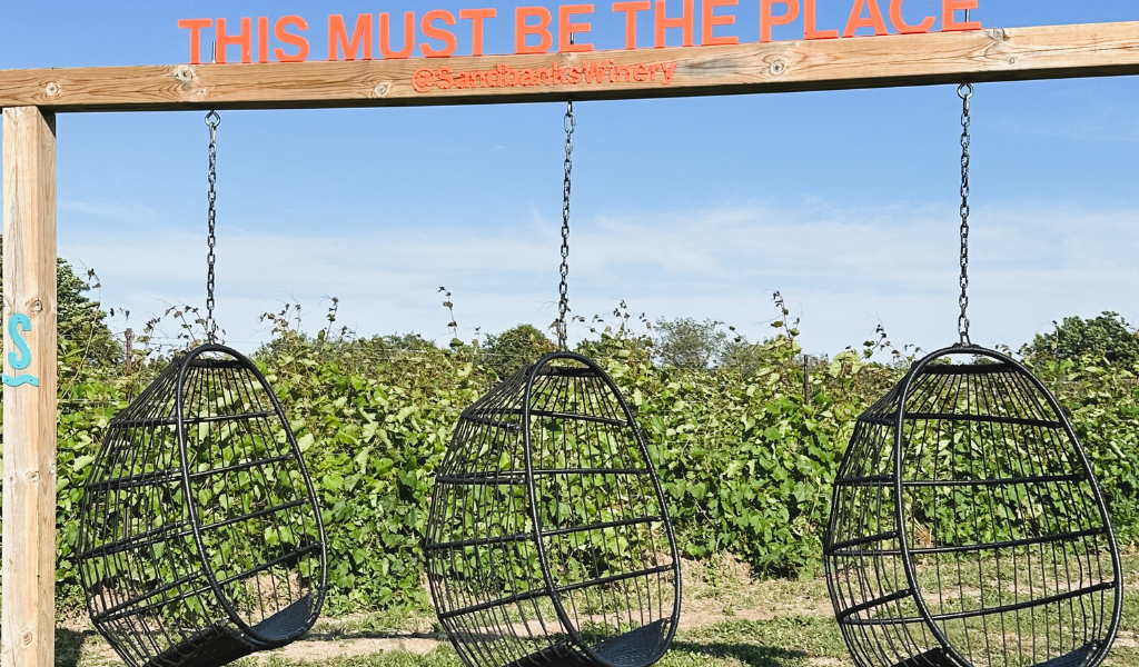 Sandbanks Winery in Prince Edward County