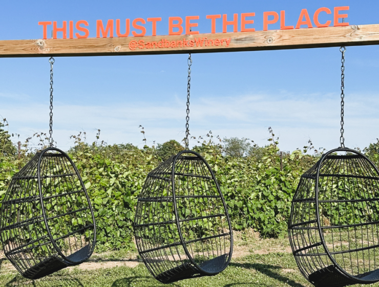 Sandbanks Winery in Prince Edward County