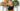 Sarah Michelle Gellar meal planning collage, with recipe dishes and MFP screen shots