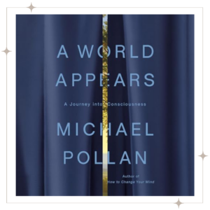 A World Appears cover